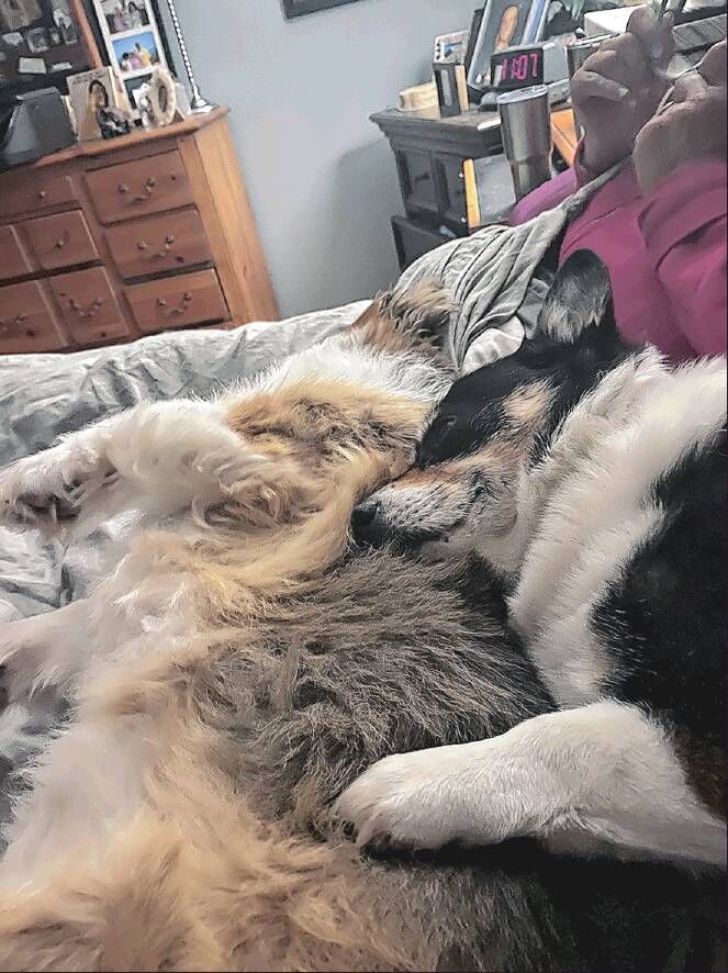 Pickles and Peyton